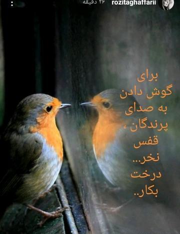 عکس استوری جدید زیبا