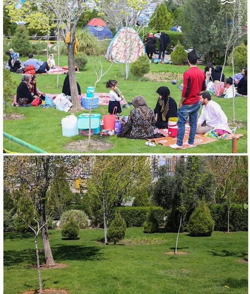 عکس طبیعت روز