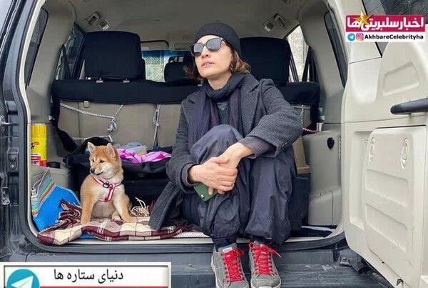 عکس ماشین بابک حمیدیان