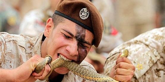 عکس قلب مار