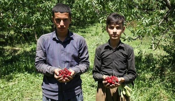 عکس شهر اشنویه