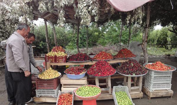 عکس شهر اشنویه