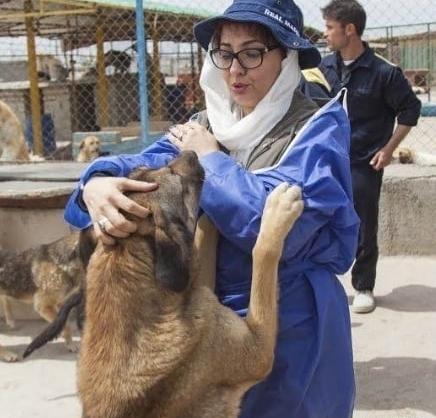 عکس سگ پژمان جمشیدی
