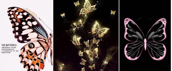 عکس صفحه گوشی پروانه