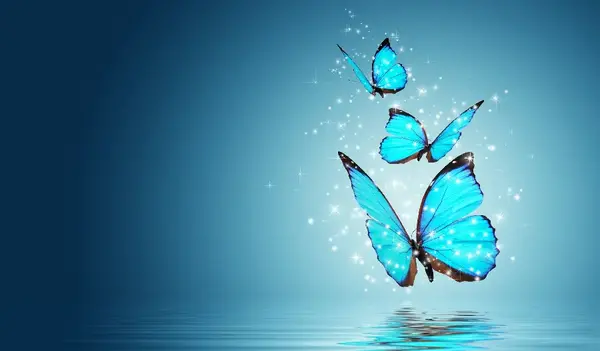 عکس صفحه گوشی پروانه