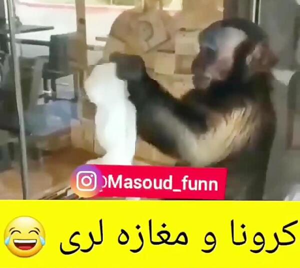 عکس وضعیت واتساپ طنز لری