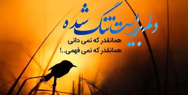 عکس دلتنگی یار عاشقانه