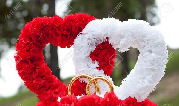 عکس گل های عاشقانه و زیبا