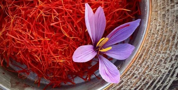 عکس از زعفران نگین
