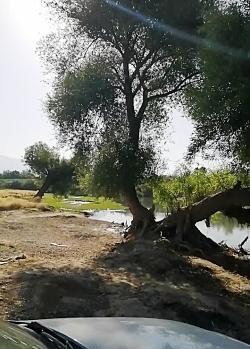 عکس طبیعت کرمانشاه