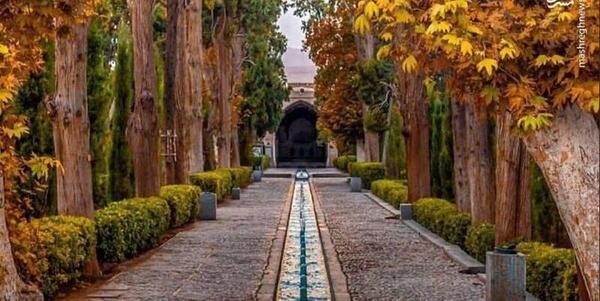 عکس حلقه پاییزی