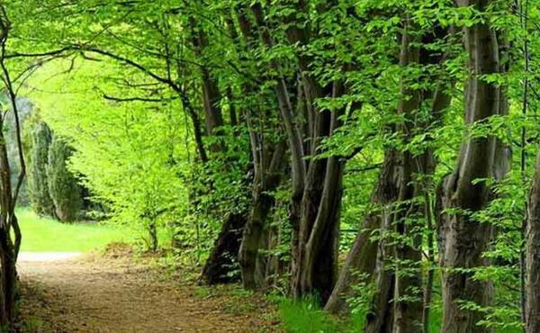 عکسهای دیدنی گرگان