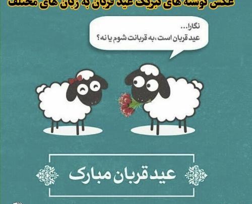 عکس پیام فارسی