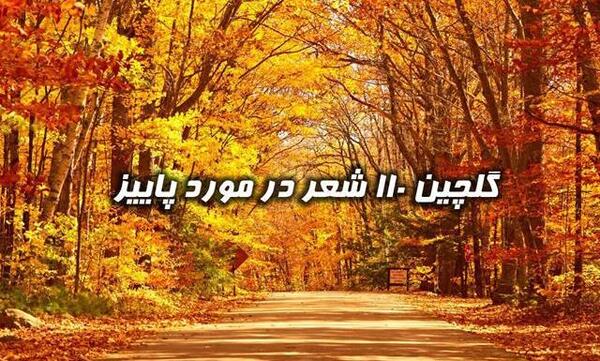 عکس پاییز غریب و بی رحم