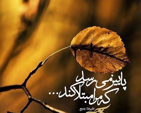 عکس پاییز غریب و بی رحم