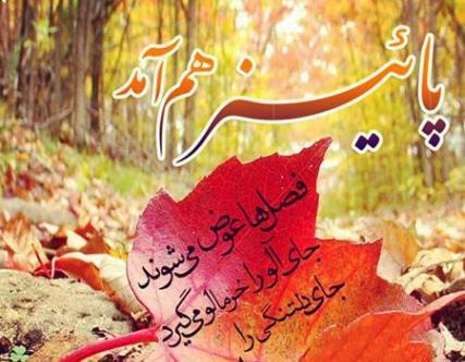 عکس پاییز غریب و بی رحم