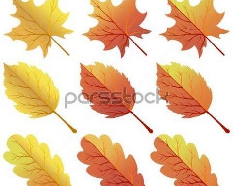 عکس برگ پاییزی ساده