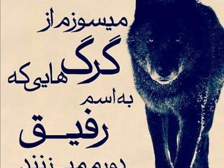 عکس درباره طعنه زدن