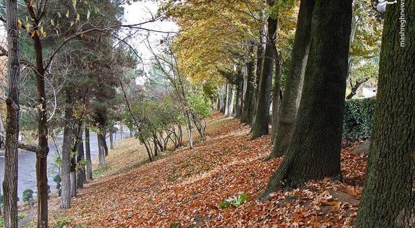 عکس پاییز سنندج