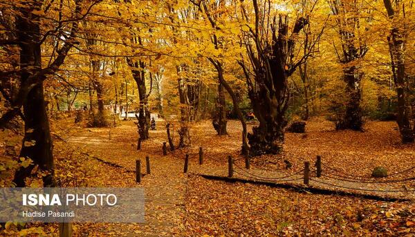 عکس پاییز النگدره گرگان