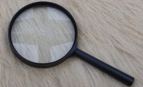 عکس ذره بین کوچک