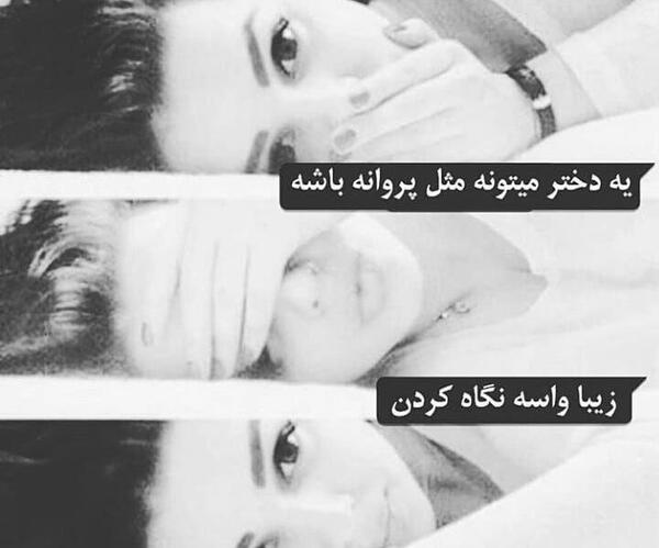 عکس پروفایل پروانه سیاه
