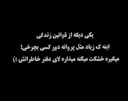 عکس پروفایل پروانه سیاه