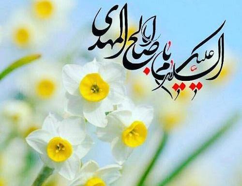 عکس گل نرگس صاحب الزمان