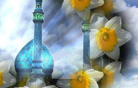 عکس گل نرگس صاحب الزمان