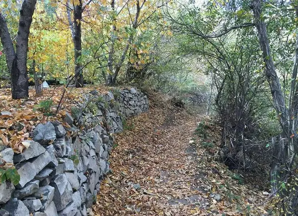 عکس پاییزی لواسان