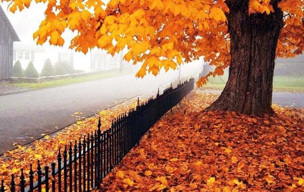 عکس پاییز اچ دی