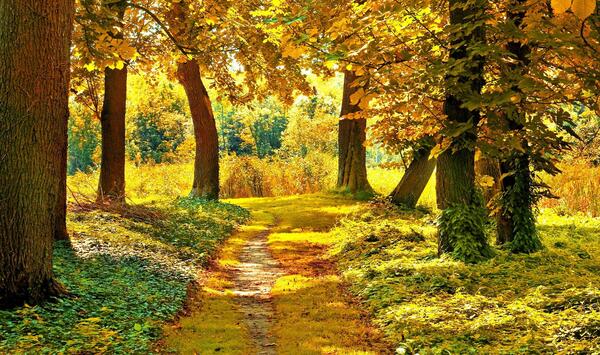 عکس پاییز اچ دی