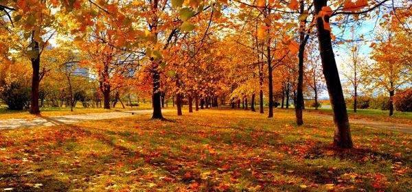 عکس پاییز اچ دی
