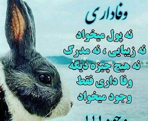 عکس درباره وفاداری