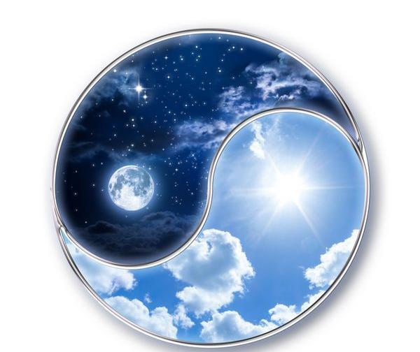 عکس برای یانگ