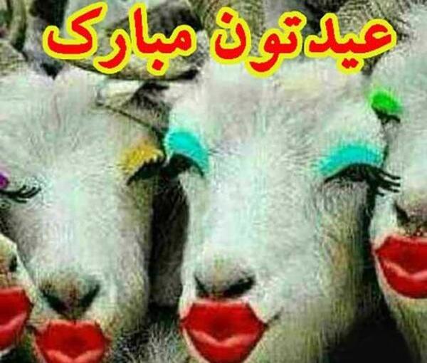 عکس درباره عید قربان