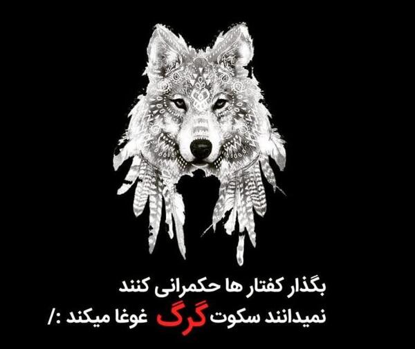 عکس گریه گرگ
