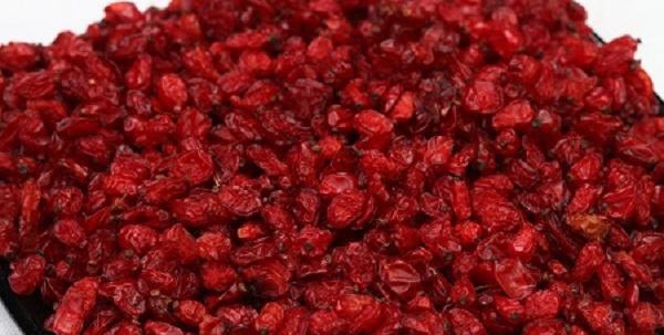 عکس زرشک روی درخت