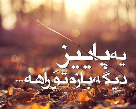 عکس پروفایل پاییز میرسد که مرا مبتلا کند
