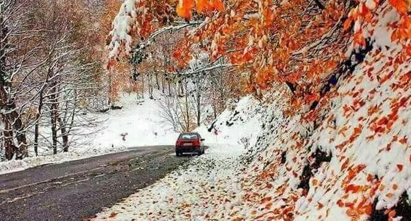 عکس پاییز زمستان