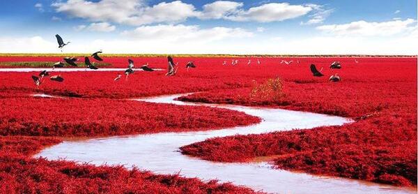 عکس زیباترین جاهای جهان