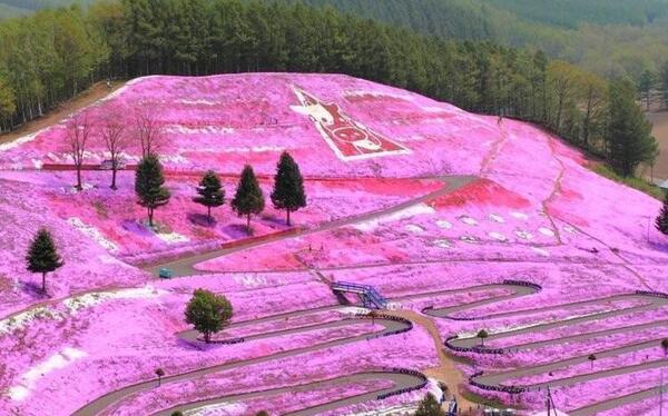 عکس زیباترین جاهای جهان