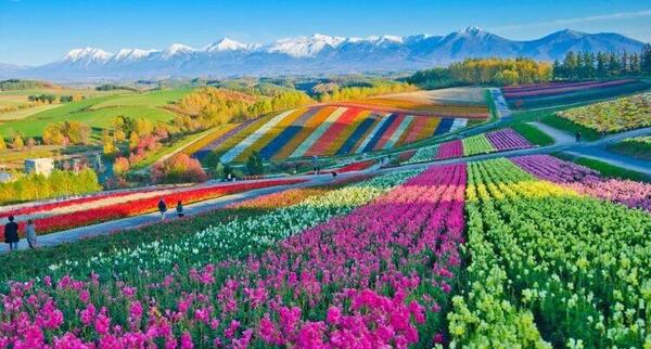 عکس زیباترین جاهای جهان