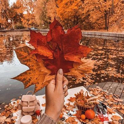 عکس برگ پاییزی بدون متن
