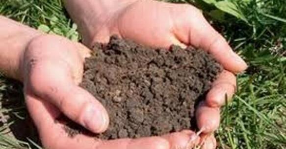 عکس خاک حاصلخیز