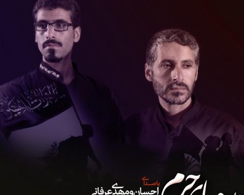 عکس امیرحسین عرفانی