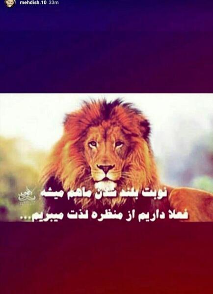عکس شیر کنار پرسپولیس