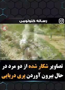 وحشتناک عکس پری دریایی واقعی در بندرعباس