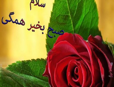 عکس صبح بخیر همگی
