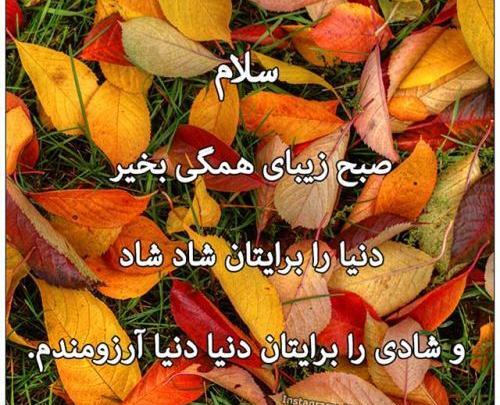 عکس صبح بخیر همگی